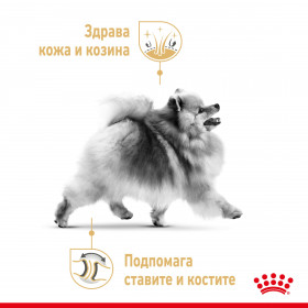 Royal Canin Pomeranian Adult - за кучета порода померан на възраст над 10 месеца 